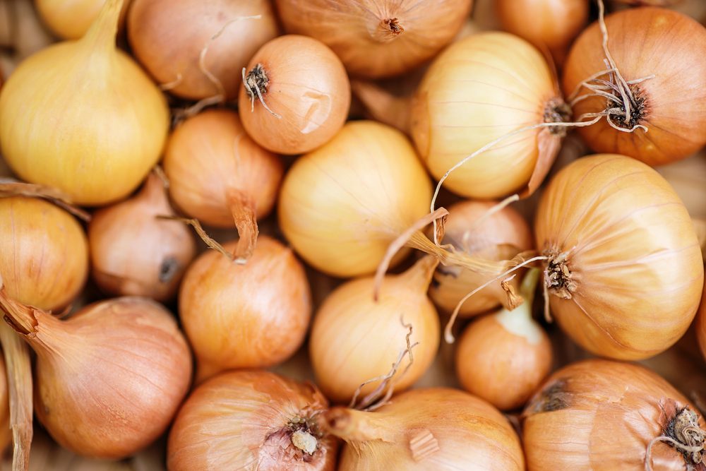 Fresh onions. Onions background. Ripe onions. Onions in market
