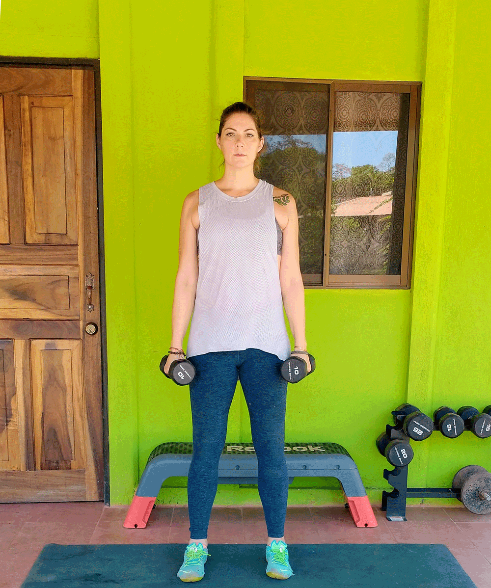 Lateral Dumbbell Raises